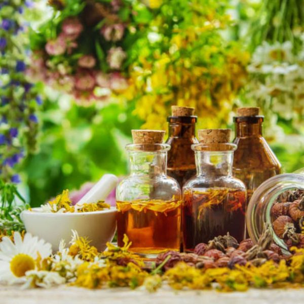 پرورش دهنده گیاهان دارویی