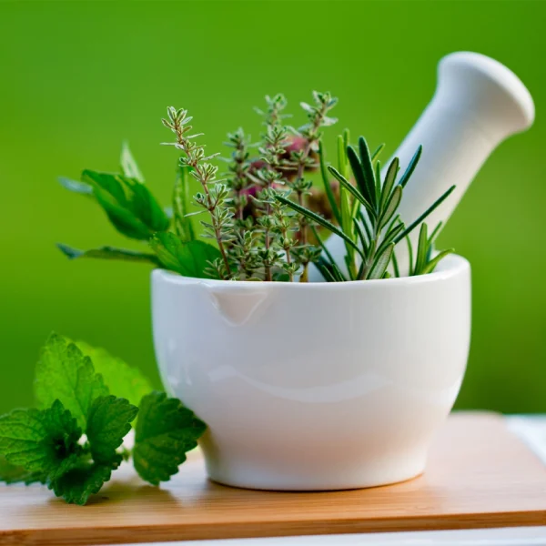 فروشنده گیاهان دارویی